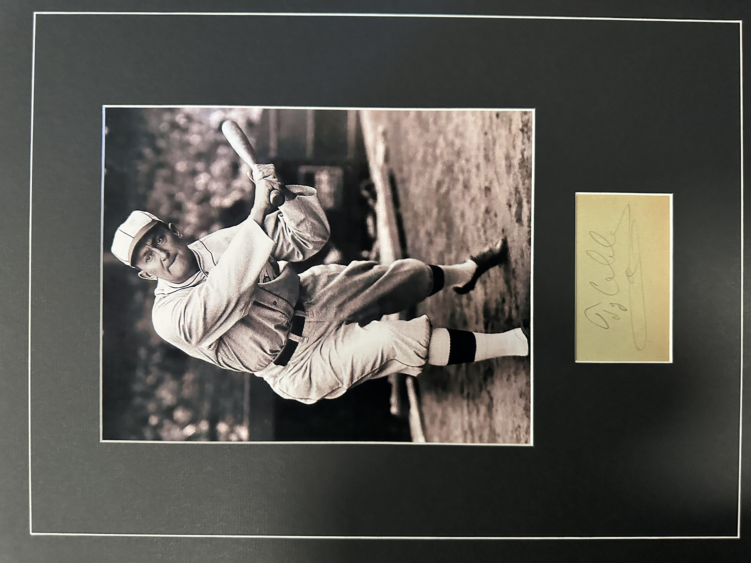 Ty Cobb Autographed Display