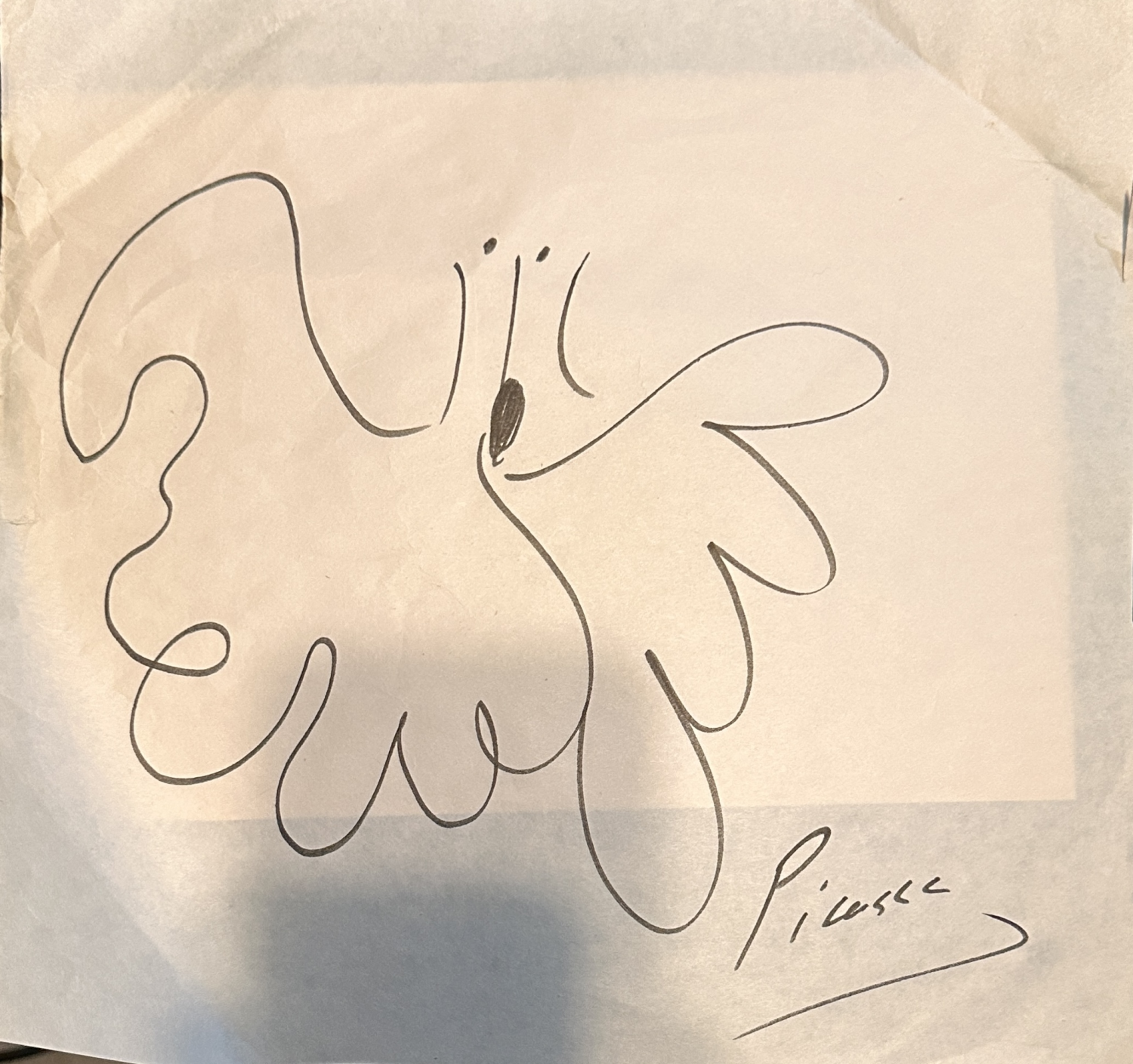 Picasso Autographed Sketh Hand Drawn