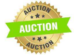 First Ebay style auction